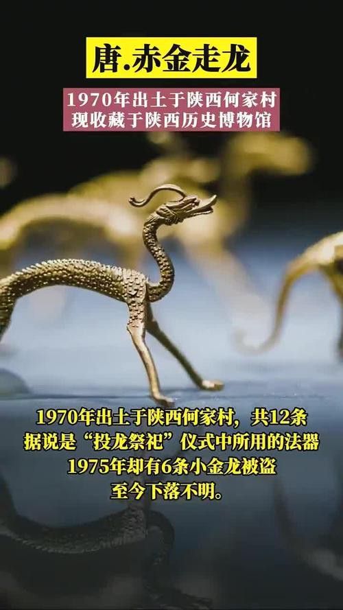 給我高清版金龍文物圖片