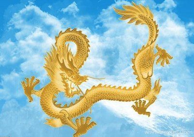 金龍：廈門金龍聯(lián)合汽車工業(yè)有限公司