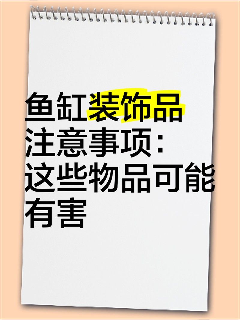 龍魚缸內(nèi)擺件如何清潔和維護？