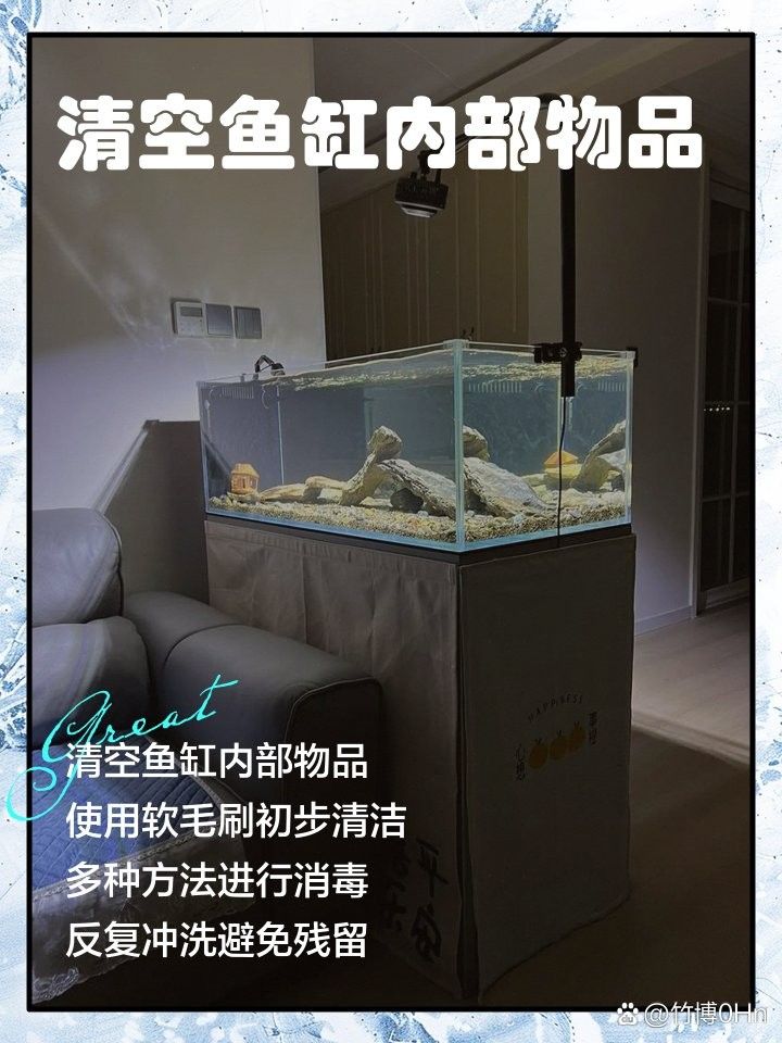 龍魚缸內(nèi)擺件如何清潔和維護？