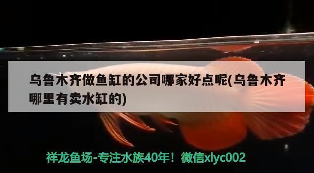 烏魯木齊做魚缸的公司哪家好點呢(烏魯木齊哪里有賣水缸的)