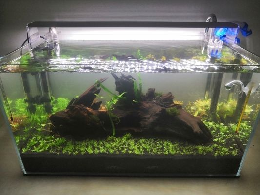 奈及利亞魚市價格對比：利亞魚市價格對比