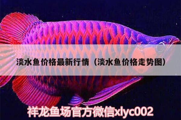奈及利亞魚市價格對比：利亞魚市價格對比