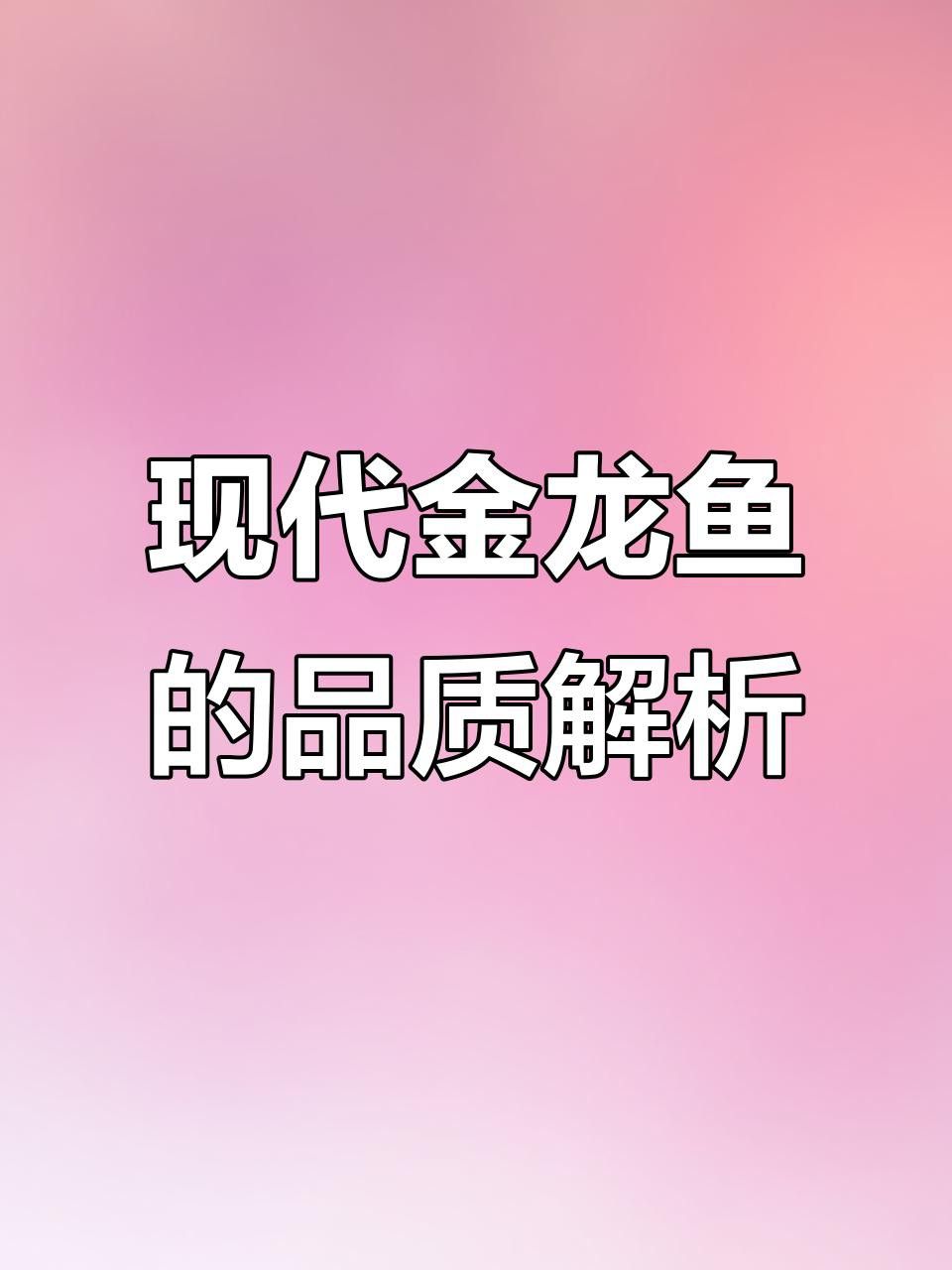 如何挑選具有收藏潛力的高背金龍魚？