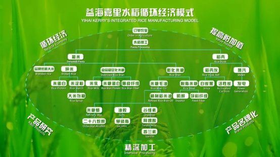 金龍魚原料篩選體系如何確保質(zhì)量？
