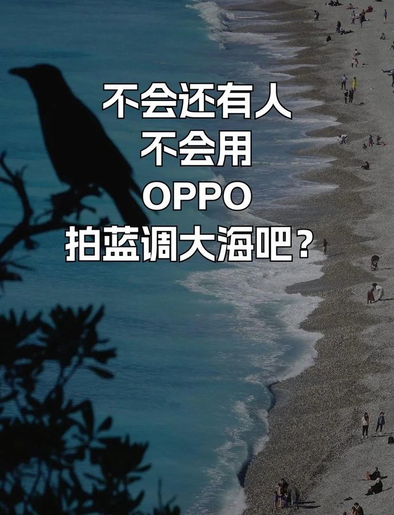 如何設置手機的專業模式拍攝龍魚？