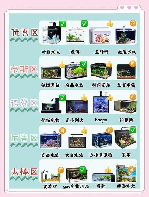 如何設置手機的專業模式拍攝龍魚？