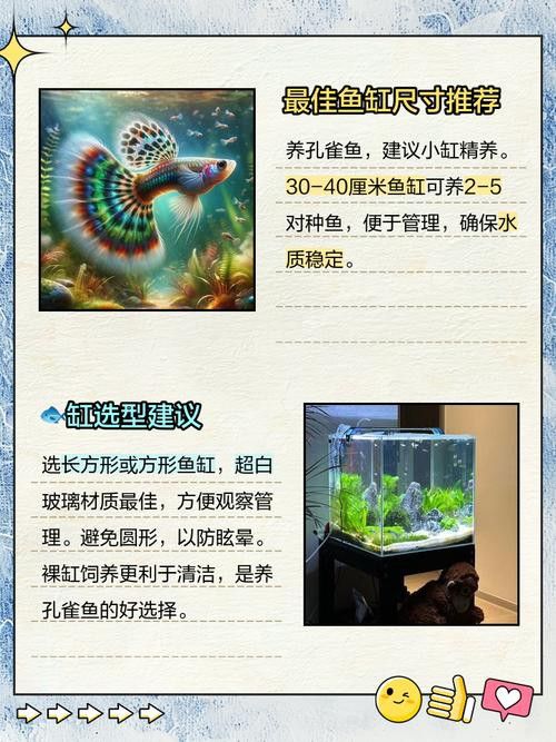 如何設置手機的專業模式拍攝龍魚？