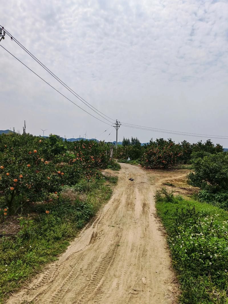 銅仁和平鄉龍魚村