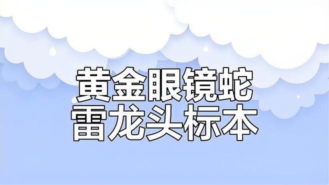 雷龍魚死亡后如何處理遺體？