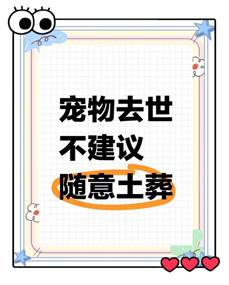 雷龍魚死亡后如何處理遺體？
