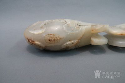 紅龍魚(yú)的嘴型是什么