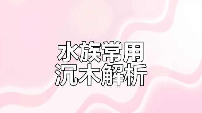 哪種沉木對水質(zhì)影響最小？