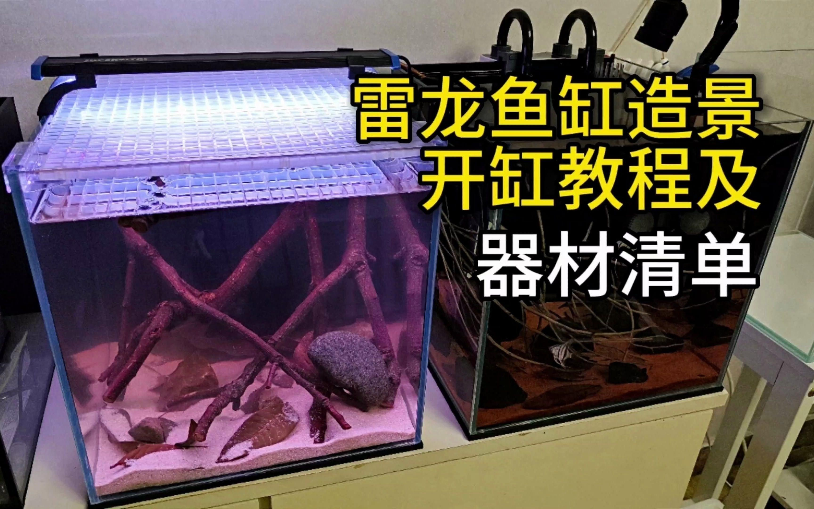 龍魚缸造景步驟