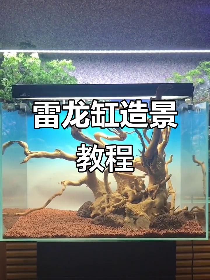 龍魚缸造景步驟