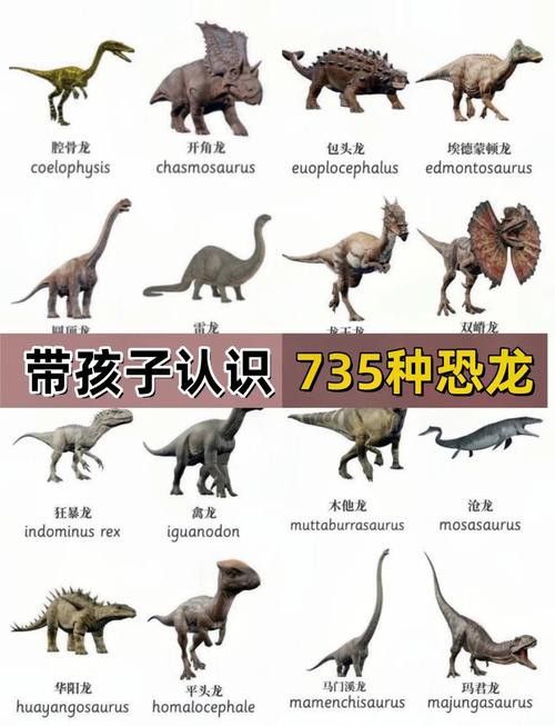 恐龍魚哪個品種比較好看圖片
