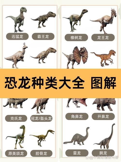 恐龍魚哪個品種比較好看圖片