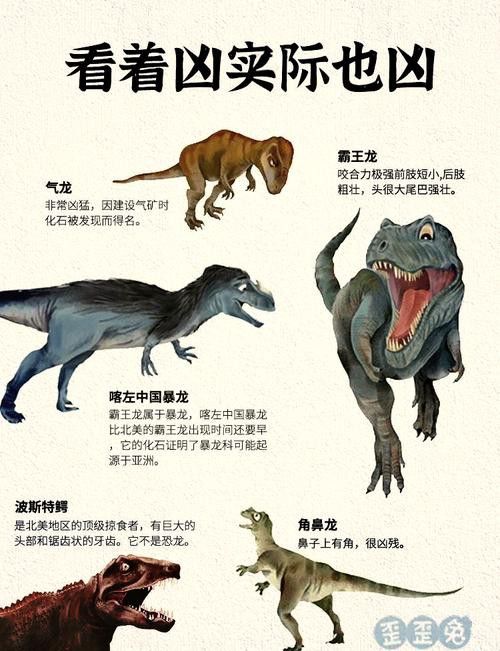 恐龍魚哪個品種比較好看圖片