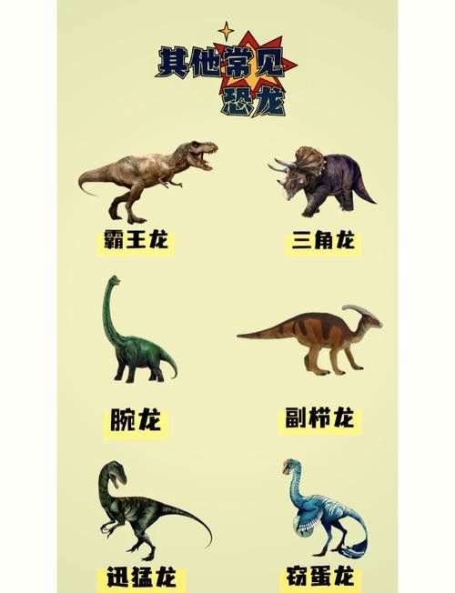 恐龍魚哪個品種比較好看圖片