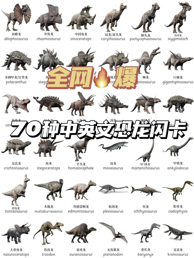 恐龍魚哪個品種比較好看圖片