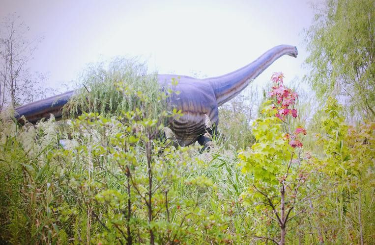 恐龍魚哪個品種比較好看圖片