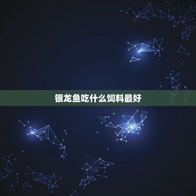 銀龍魚飼料自制方法：自制銀龍魚飼料營養配比指南,銀龍魚飼料添加劑推薦