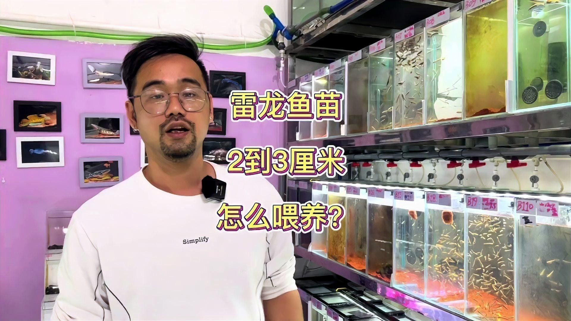 黃金眼鏡蛇雷龍魚3cm