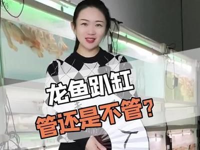 龍魚趴缸在水底不動怎么回事：龍魚趴缸后食欲不振怎么辦