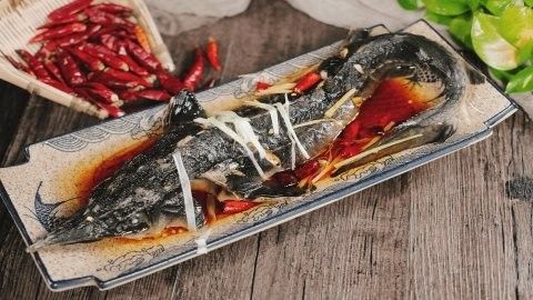 鱘龍魚有哪些營養價值