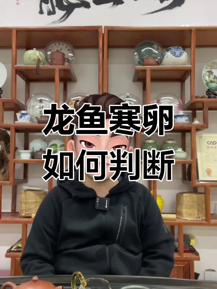 金龍魚繁殖后如何區分雌雄？