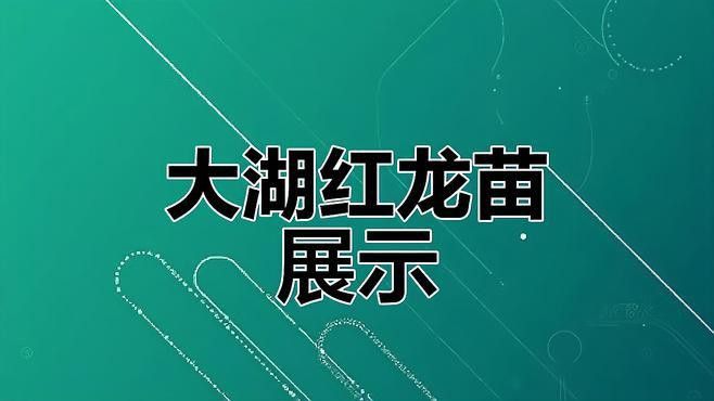 給我推薦一些健康的龍魚苗品種