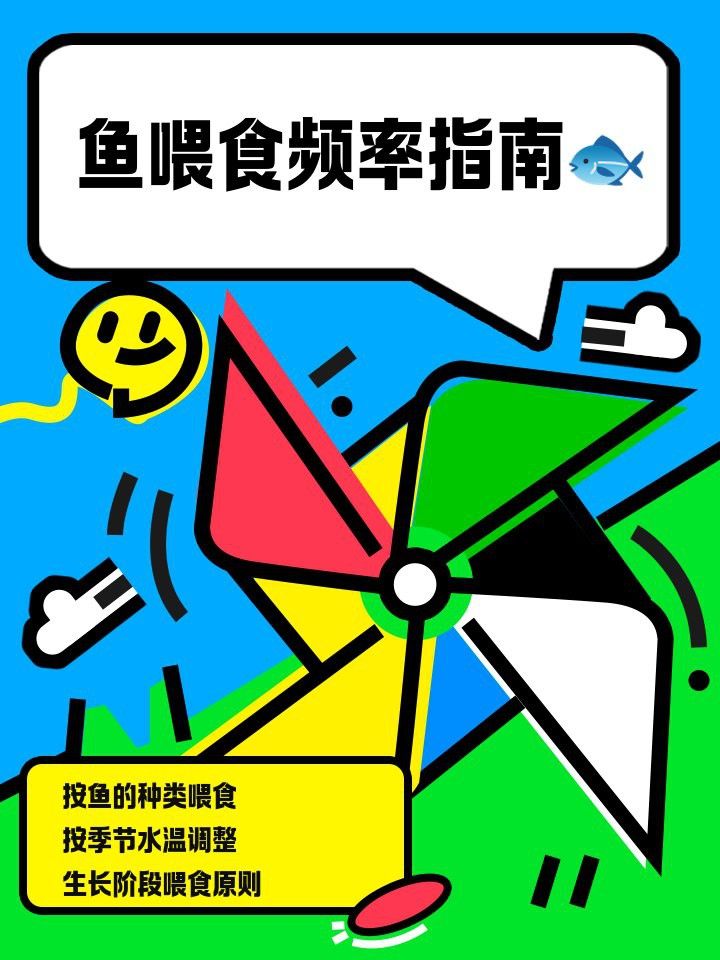 過背金龍繁殖期間需要喂食嗎？