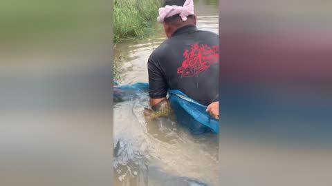 金龍魚不金是什么原因：養魚學堂:金龍魚不金是怎么回事?