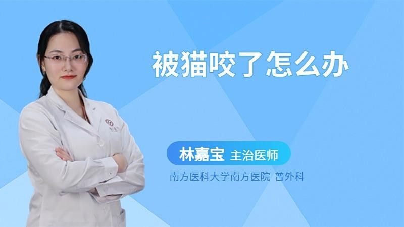 龍貓咬傷后需要忌口嗎？