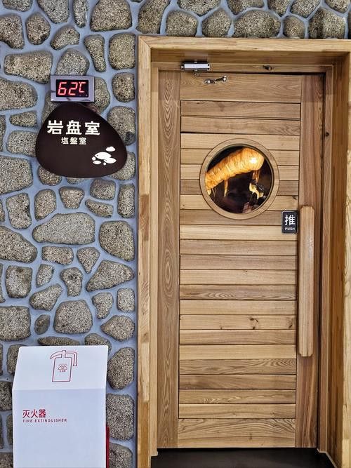 如何給龍貓和貓提供足夠運動？