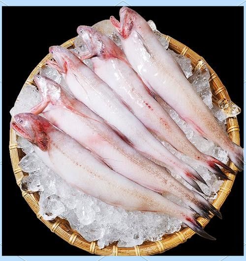 龍頭魚圖片高清大圖 龍魚百科 第16張 龍頭魚圖片高清大圖 龍頭魚圖片高清大圖 龍魚百科 第16張