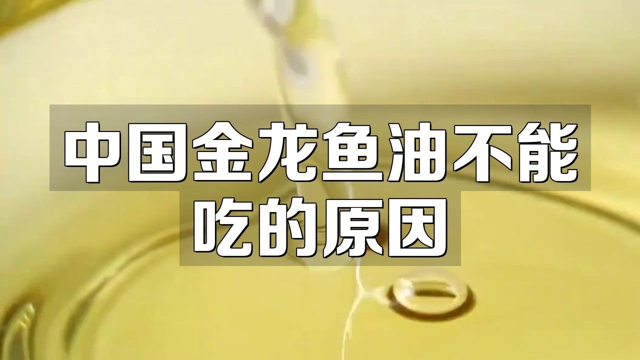 金龍魚魚油怎么回事