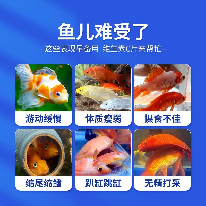 龍魚長時間使用維他命會怎么樣（如何自制龍魚維生素補充劑）