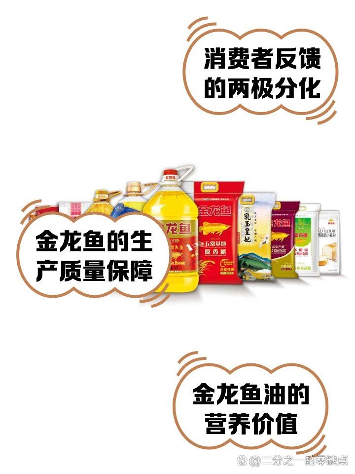 金龍玩家評價兩極分化原因