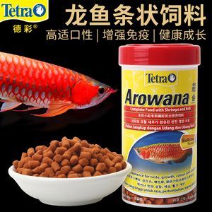 紅龍專用魚糧飼料：紅龍專用魚糧飼料對于健康成長和美麗外觀至關重要