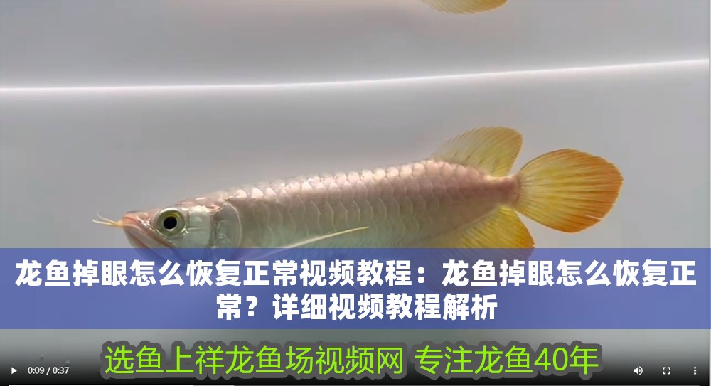 龍魚掉眼怎么恢復正常視頻教程：龍魚掉眼怎么恢復正常？詳細視頻教程解析