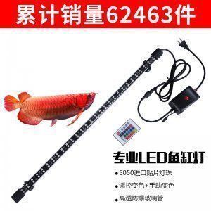 龍魚燈放什么位置好看：龍魚燈放置位置