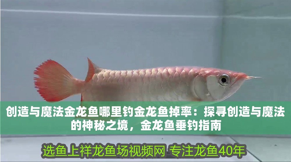 創造與魔法金龍魚哪里釣金龍魚掉率：探尋創造與魔法的神秘之境，金龍魚垂釣指南