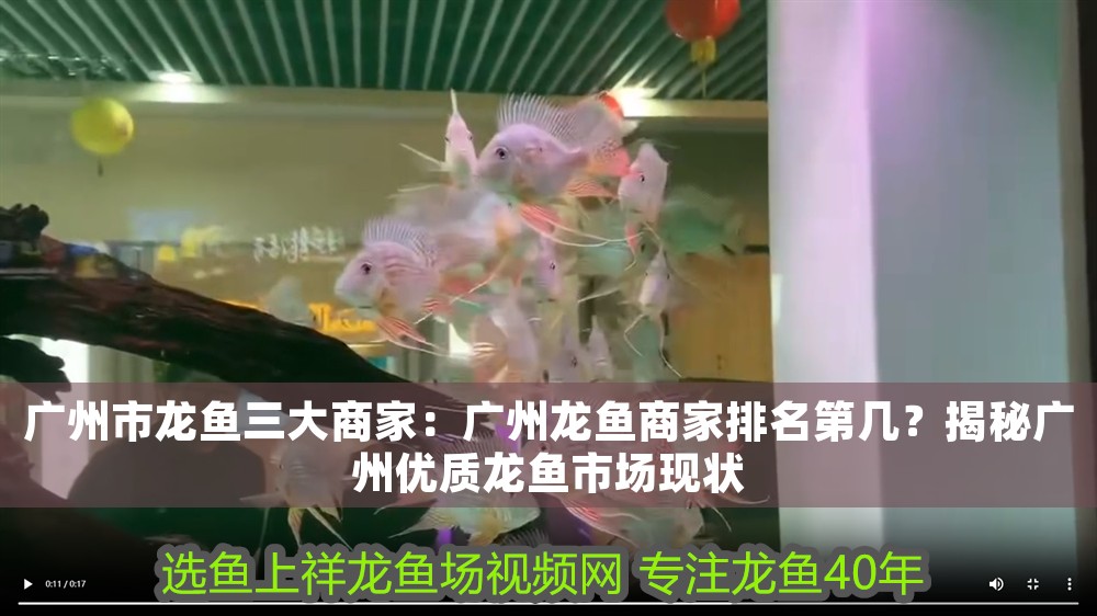 廣州市龍魚三大商家：廣州龍魚商家排名第幾？揭秘廣州優質龍魚市場現狀