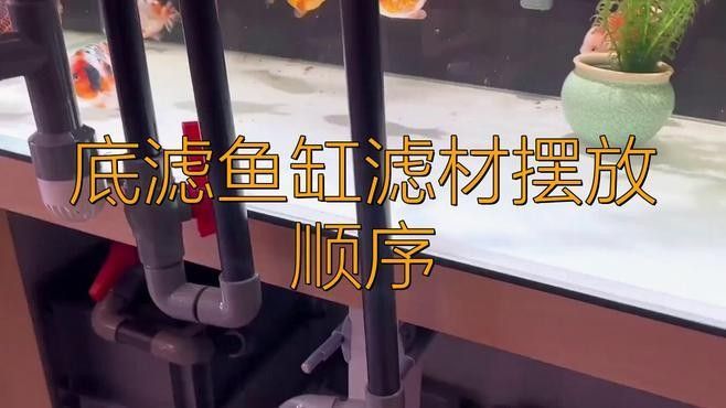 龍魚缸底濾濾材擺放順序