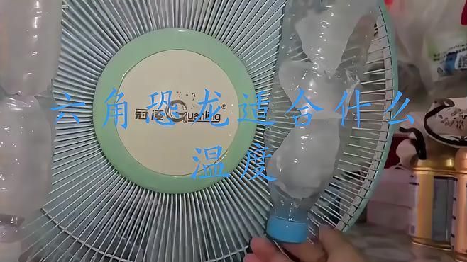六角恐龍魚的最佳飼養(yǎng)溫度是多少？