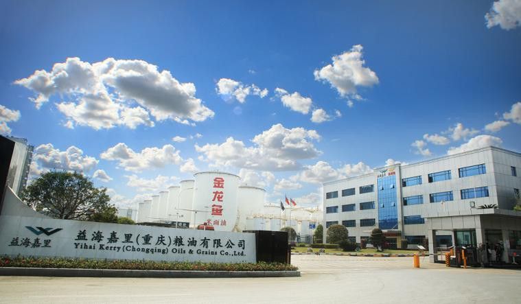 白城金龍魚公司簡介圖片大全