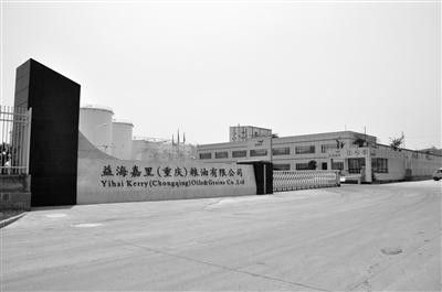 白城金龍魚公司簡介圖片大全