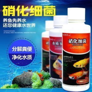 龍魚缸上過濾好還是下過濾好：龍魚缸上過濾和下過濾各有優(yōu)缺點(diǎn)