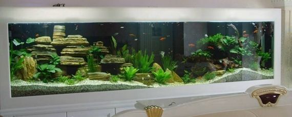 龍魚缸上過濾好還是下過濾好：龍魚缸上過濾和下過濾各有優(yōu)缺點(diǎn)